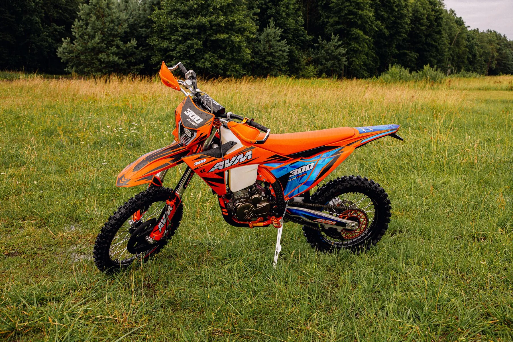  VERGE YBS300