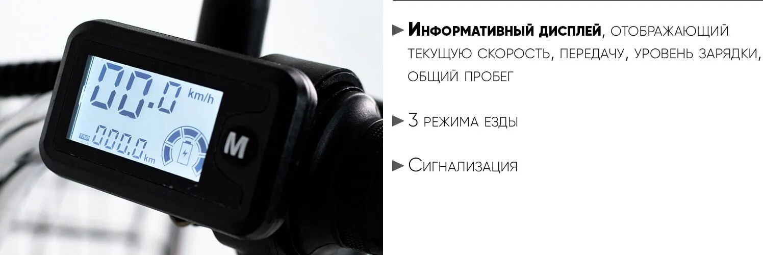 AVM E-Alfa 20 дисплей