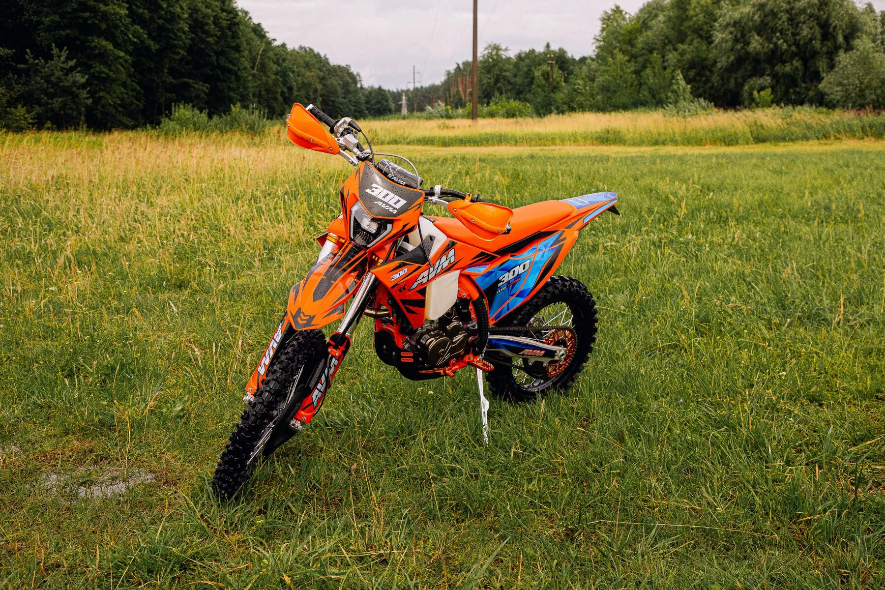  VERGE YBS300