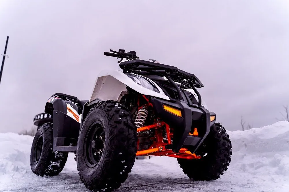  AU300 EFI
