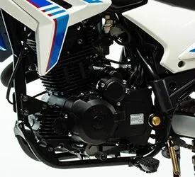 мотоцикл Motoland XR250 ENDURO 165FMM, двигатель