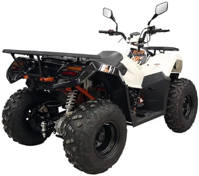  AU300 EFI