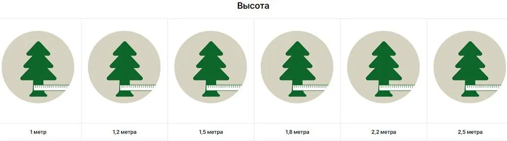 Высота елки, сосны