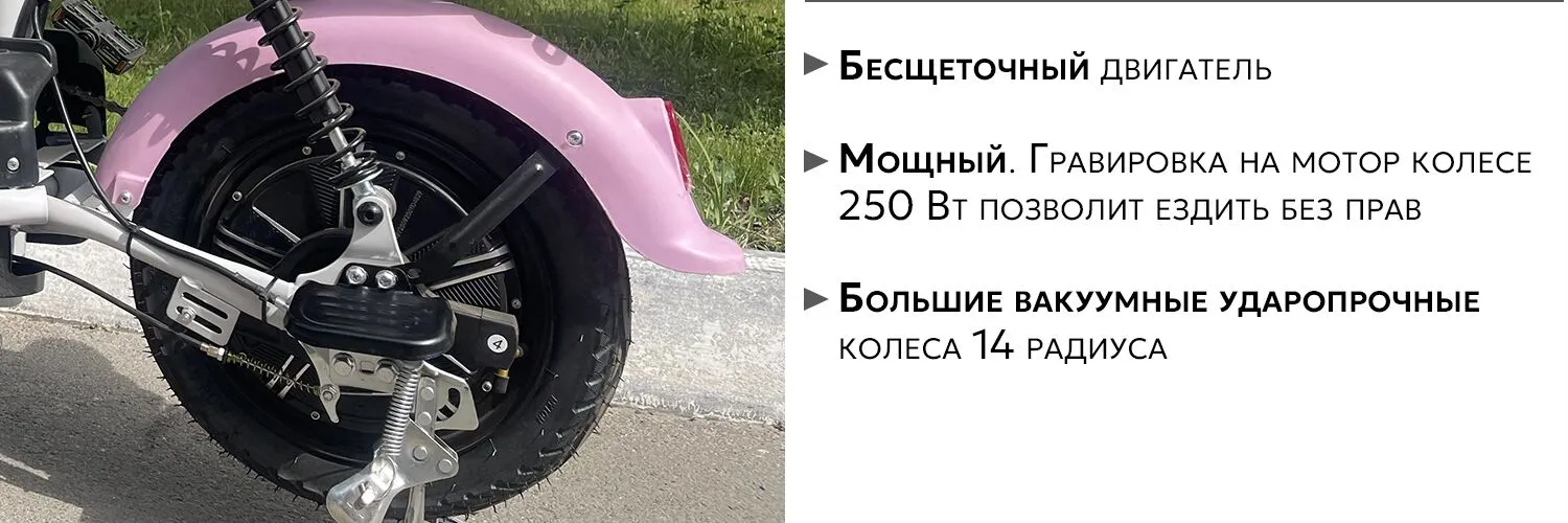 AVM Delta Lite AVM Delta Lite