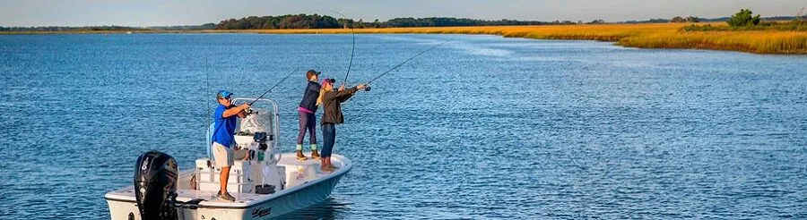 эхолоты Lowrance