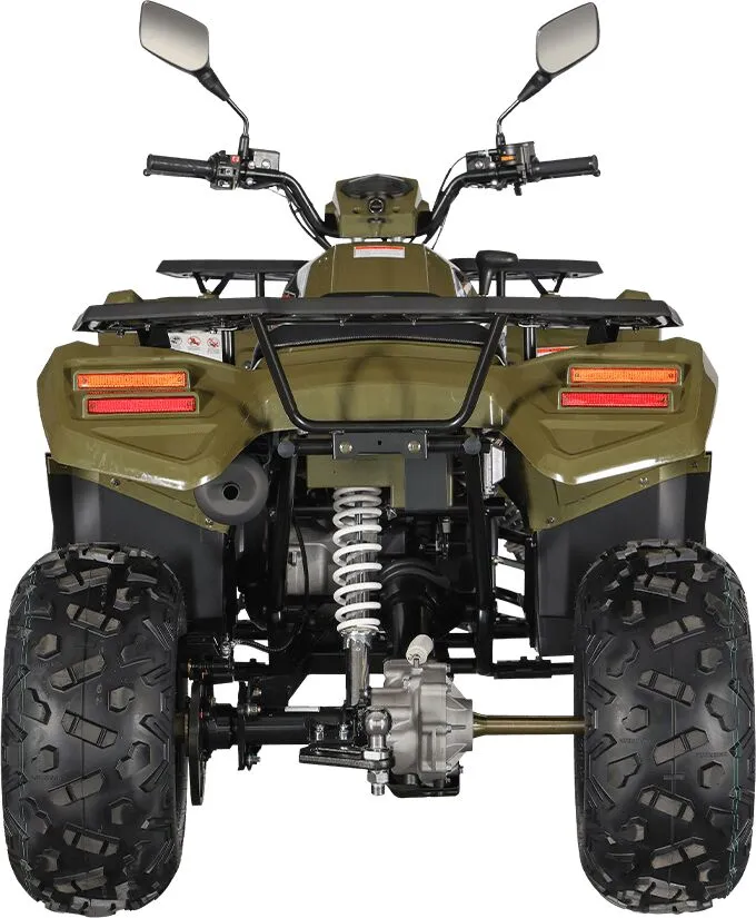  AU300 EFI