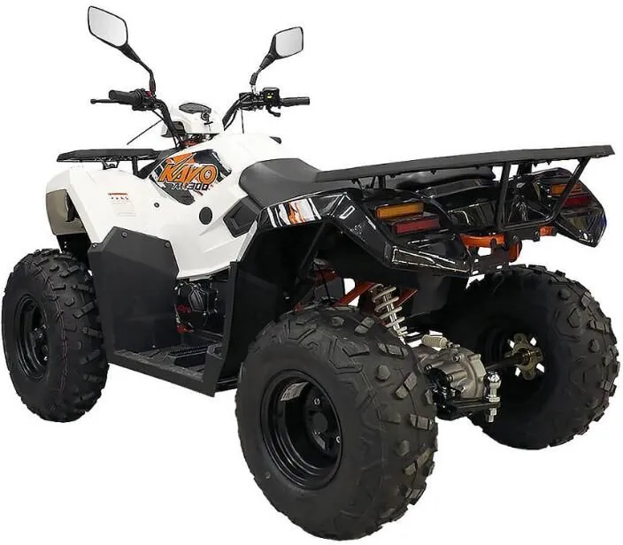  AU300 EFI