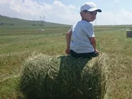 Пресс-подборщик рулонный 0850