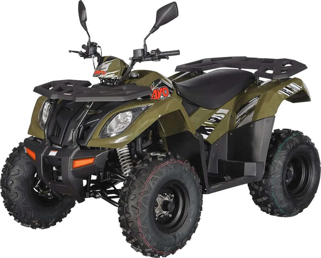  AU300 EFI