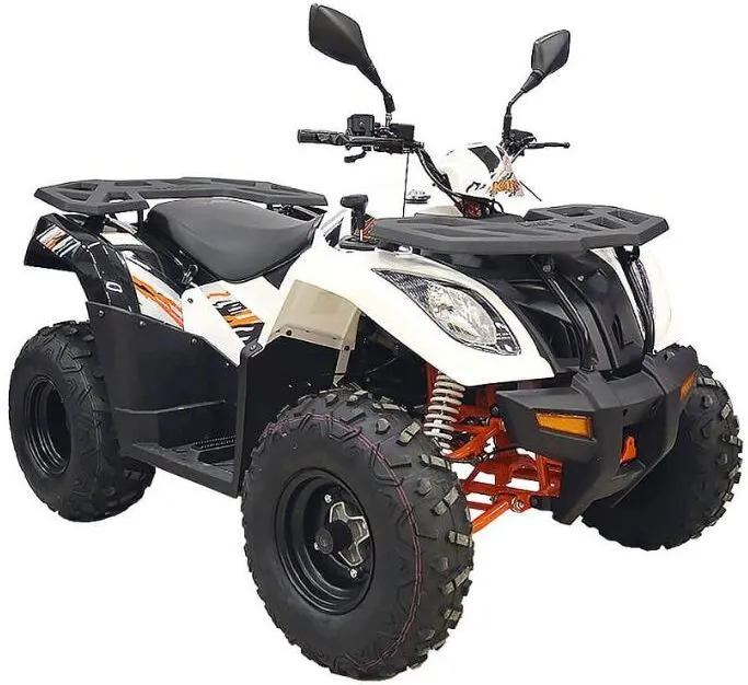  AU300 EFI