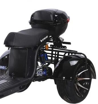 Электроскутер SKYBOARD TRIKE BR60-3000 PRO FAST