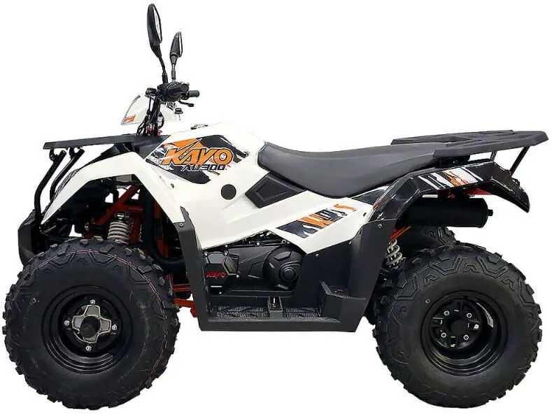 AU300 EFI