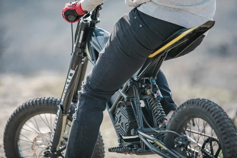  Freerider