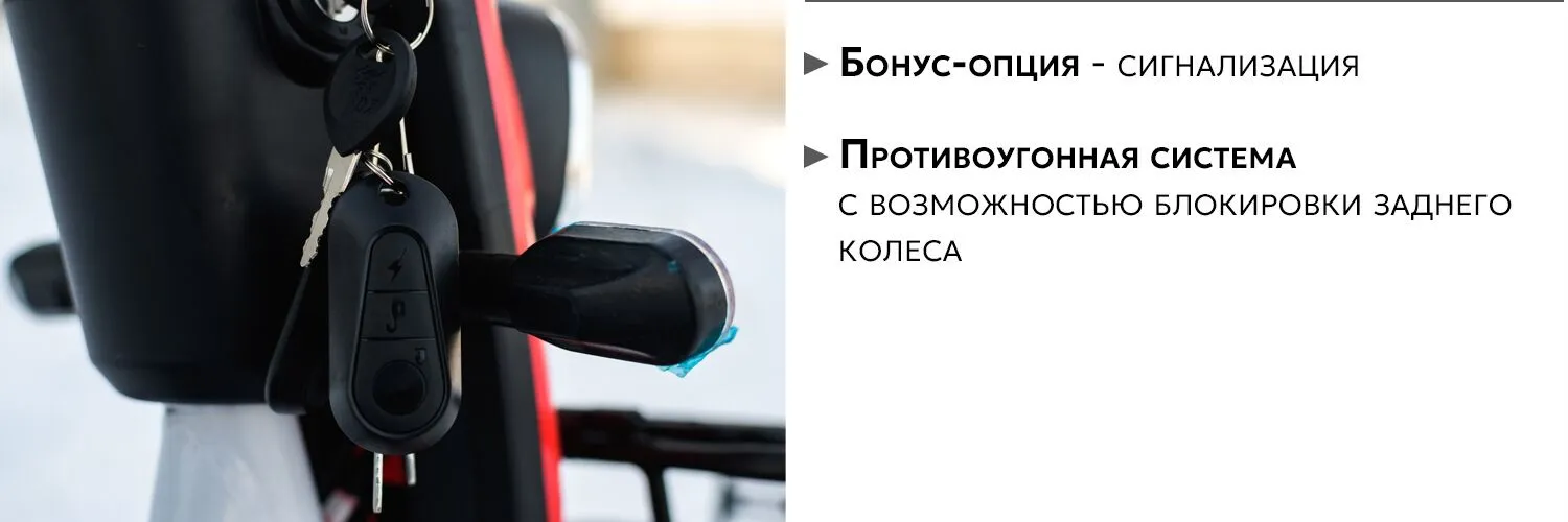 AVM Delta Lite сигнализация