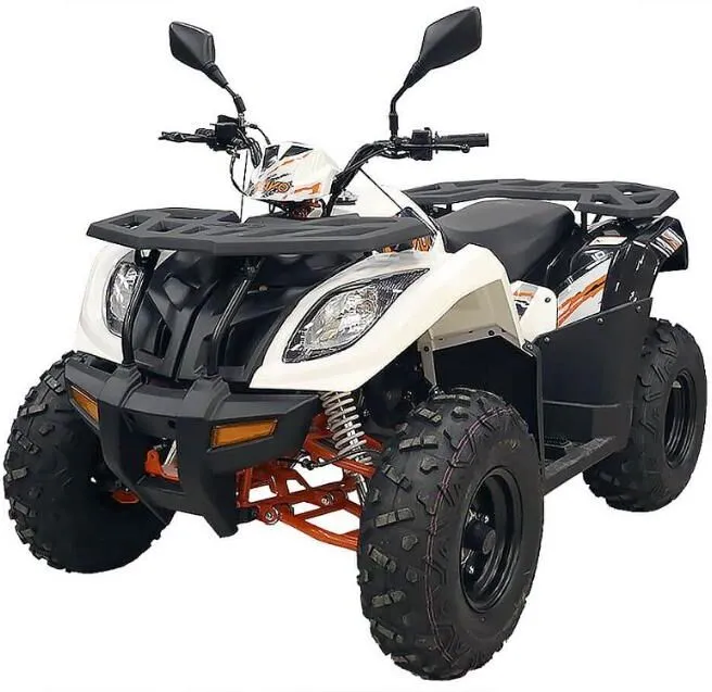  AU300 EFI