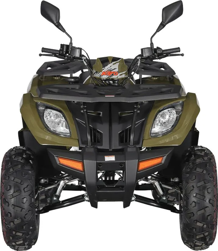 AU300 EFI