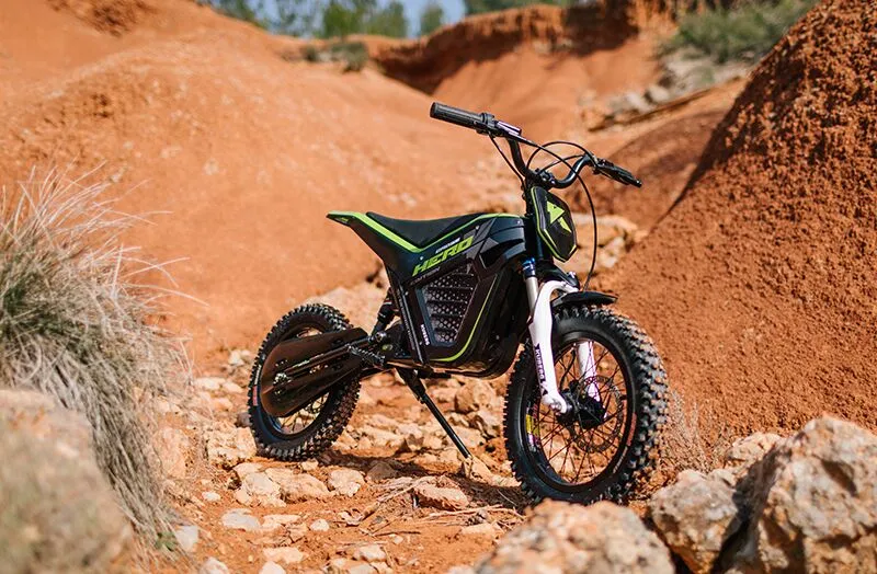  Freerider