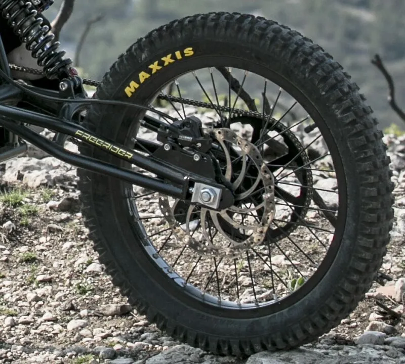  Freerider