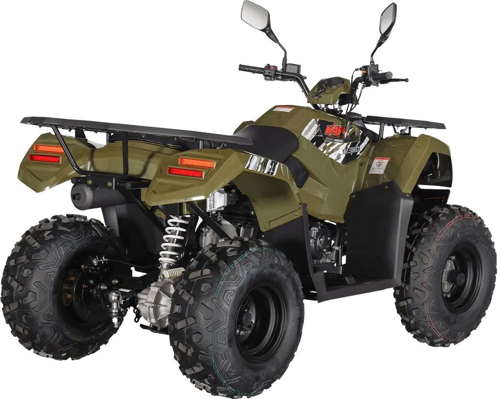  AU300 EFI