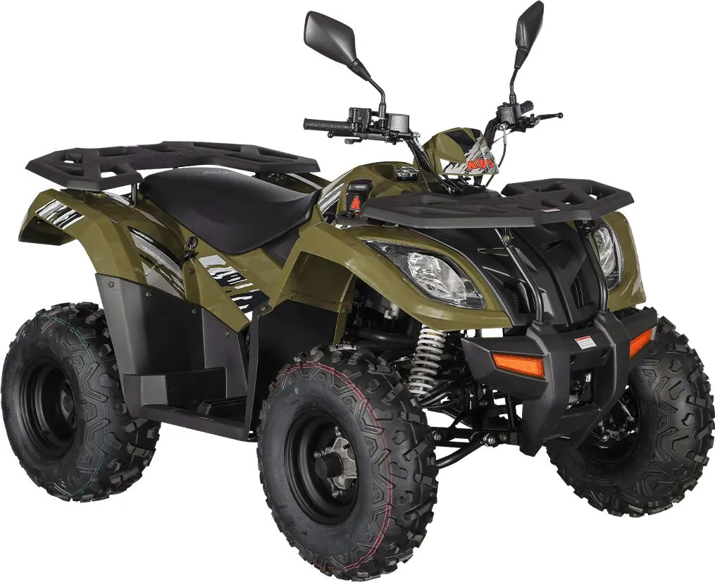  AU300 EFI