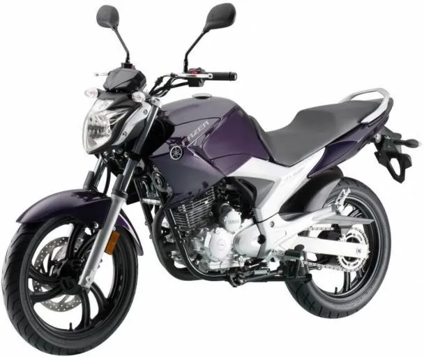 2019 Yamaha-Fazer-250-RU-Cosmic-Purple-Action
