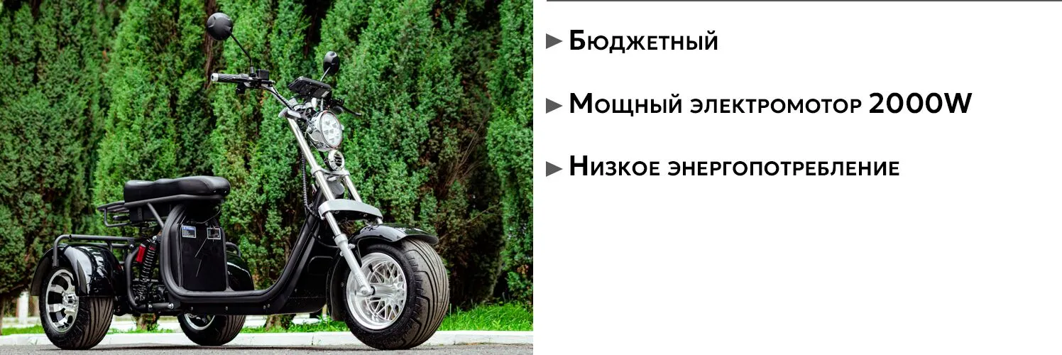 AVM CityCoco Axel 2000