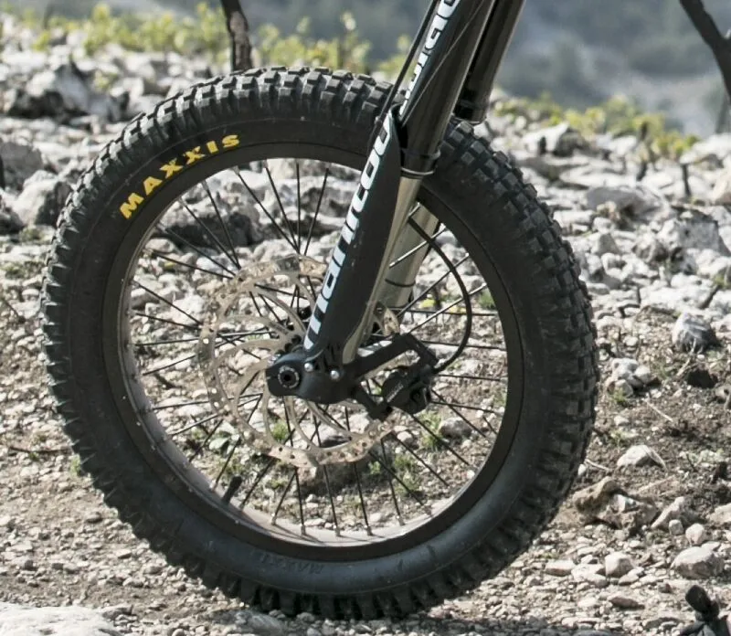  Freerider