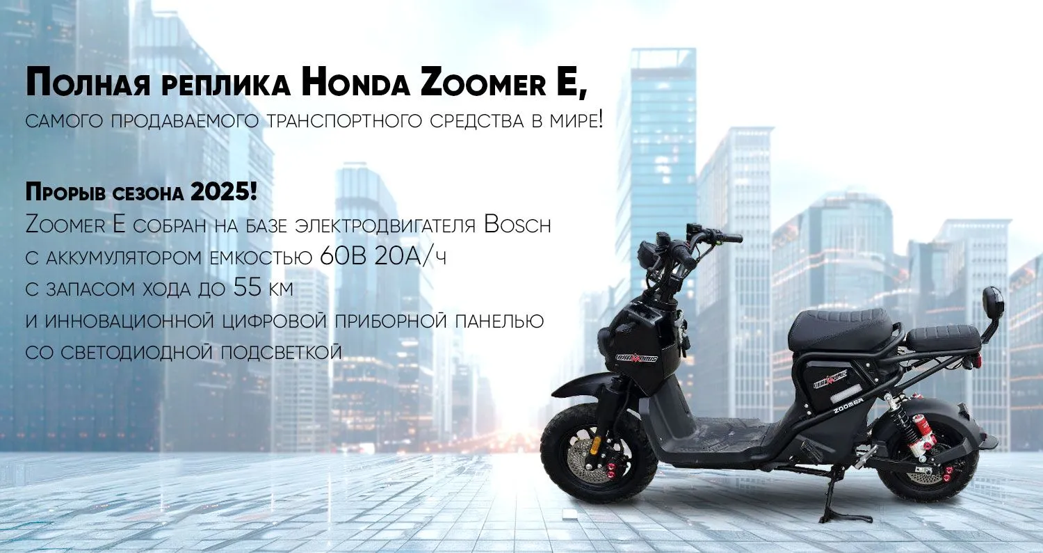 AVM Zoomer