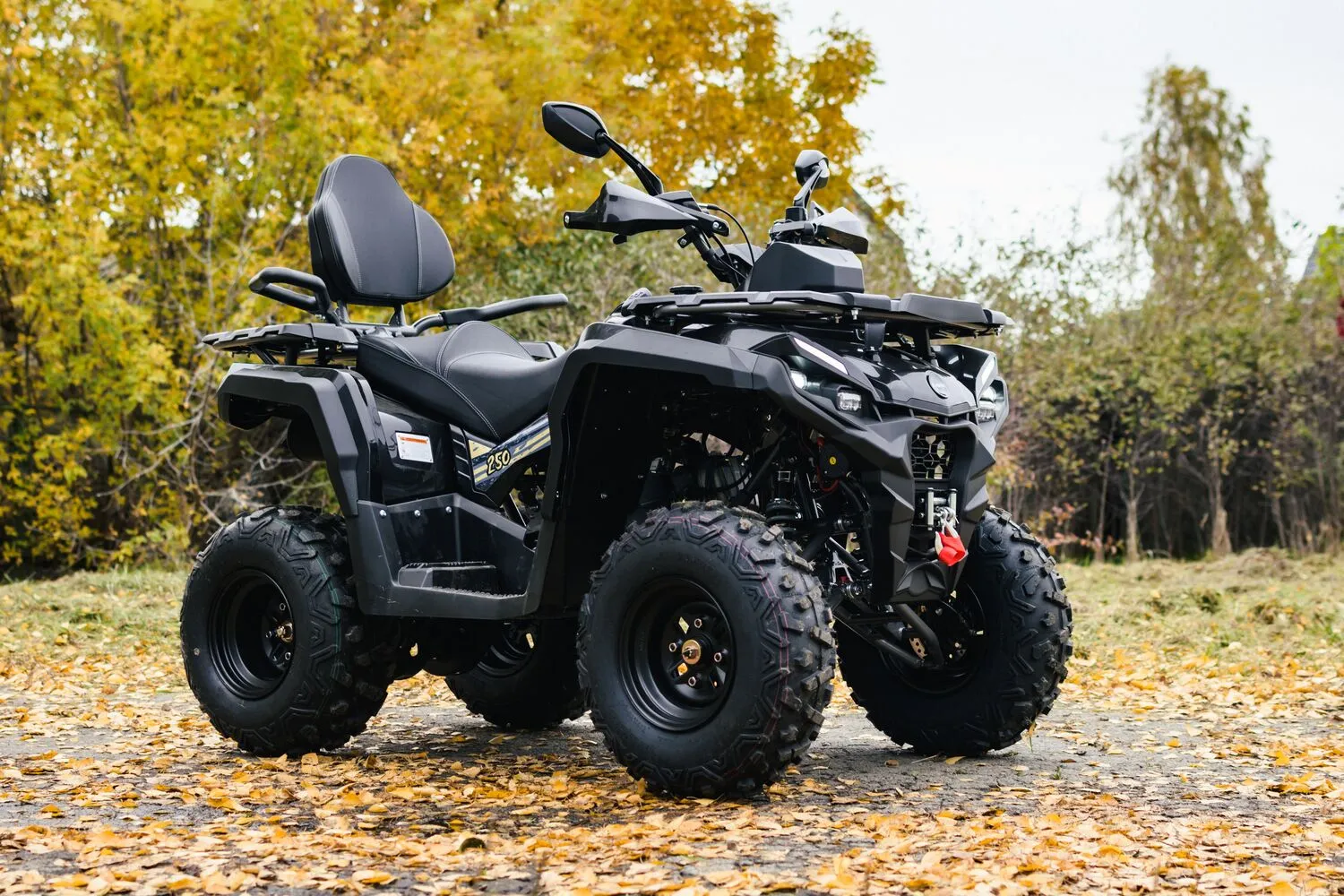  Adventure 250