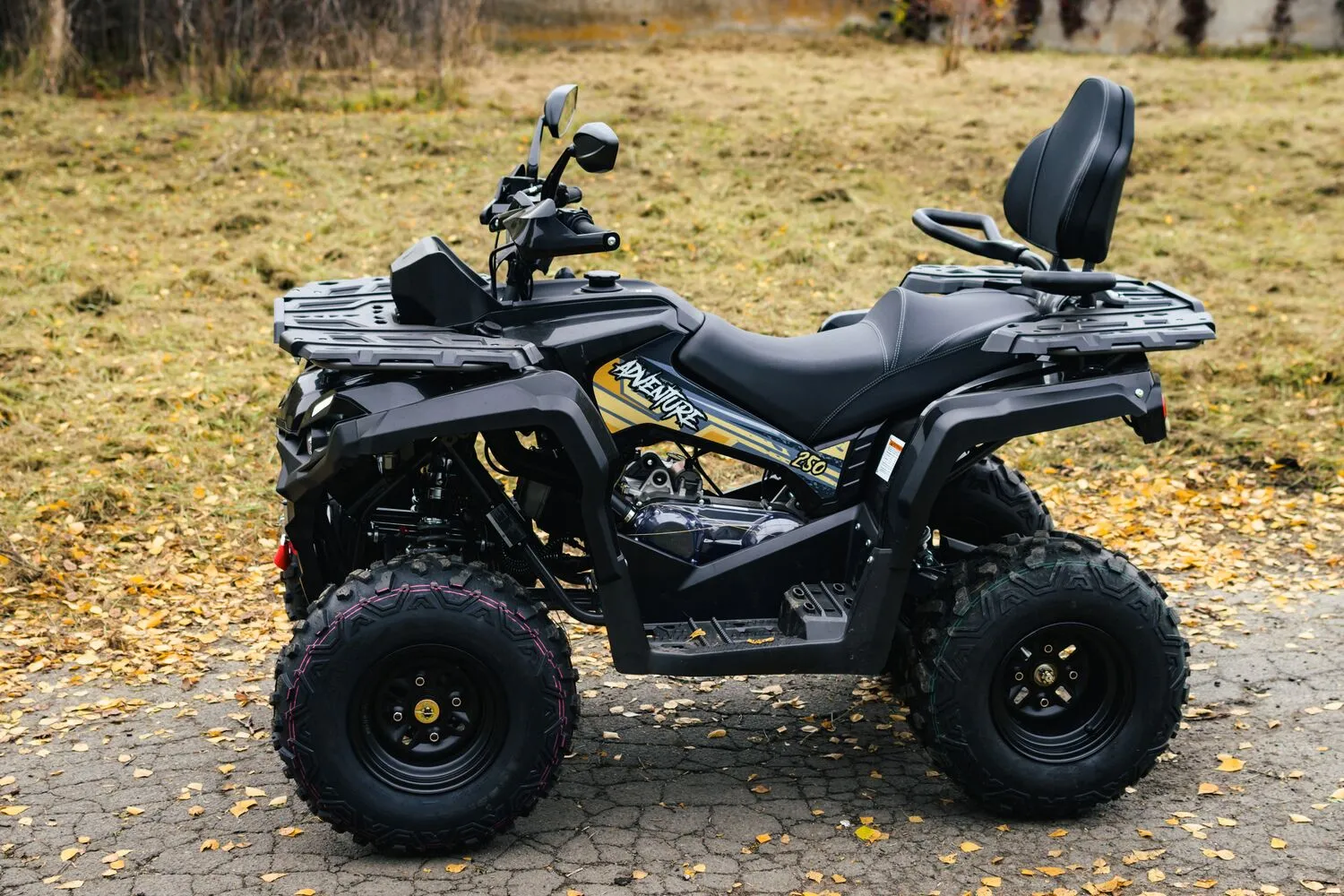  Adventure 250