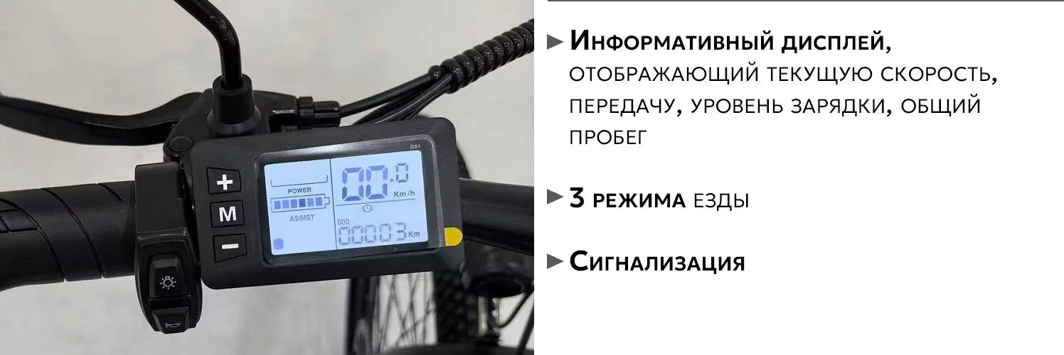 AVM Intro 500 дисплей