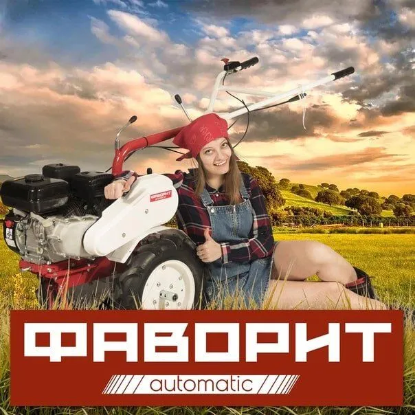 зид фаворит.jpg
