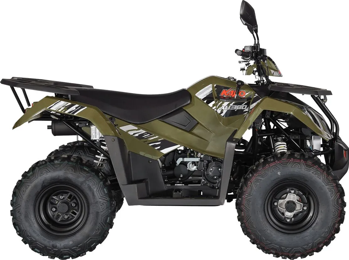  AU300 EFI