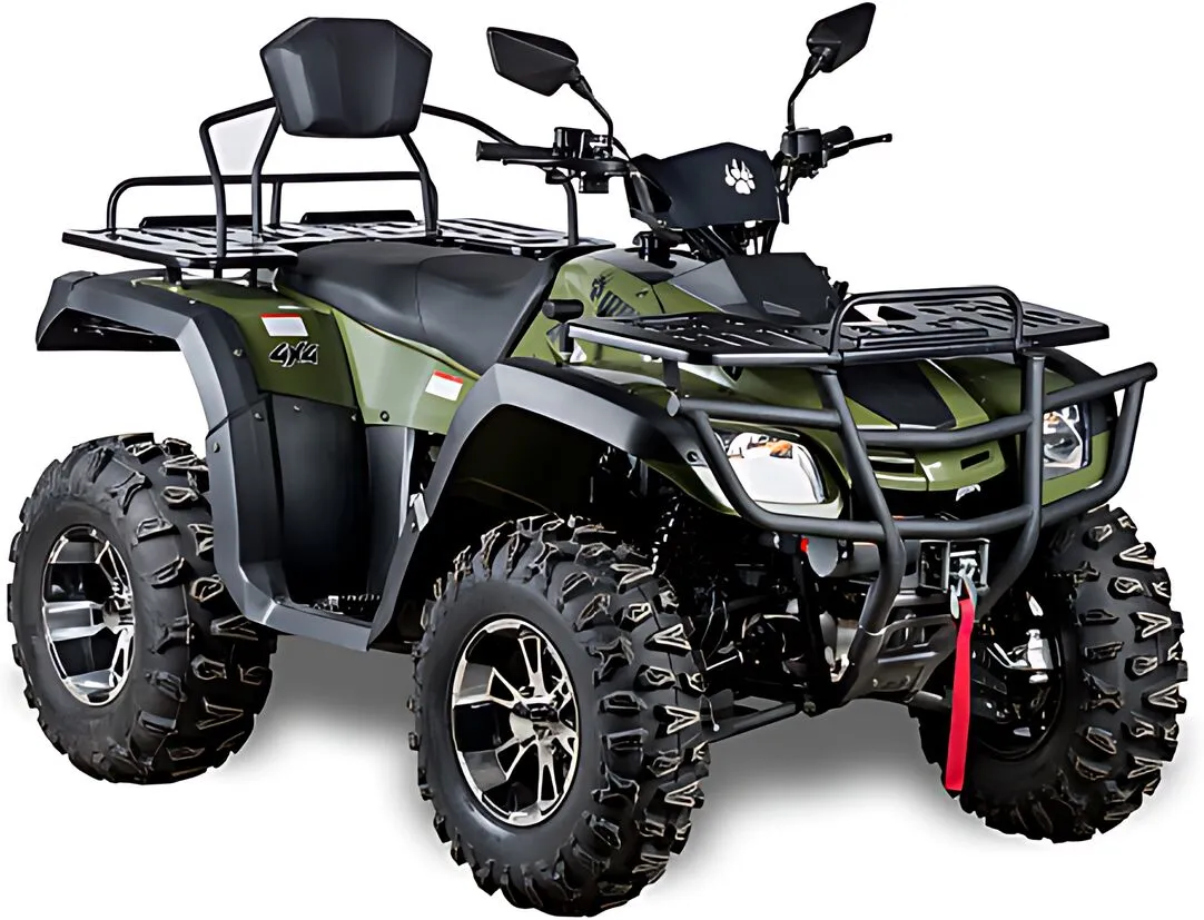  ATV 300
