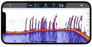Эхолот Deeper PRO EB FLDP-12 (WI FI)