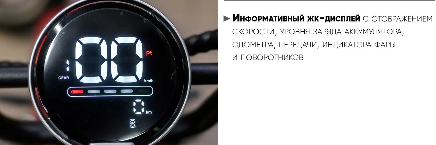 AVM Citycoco Pro дисплей