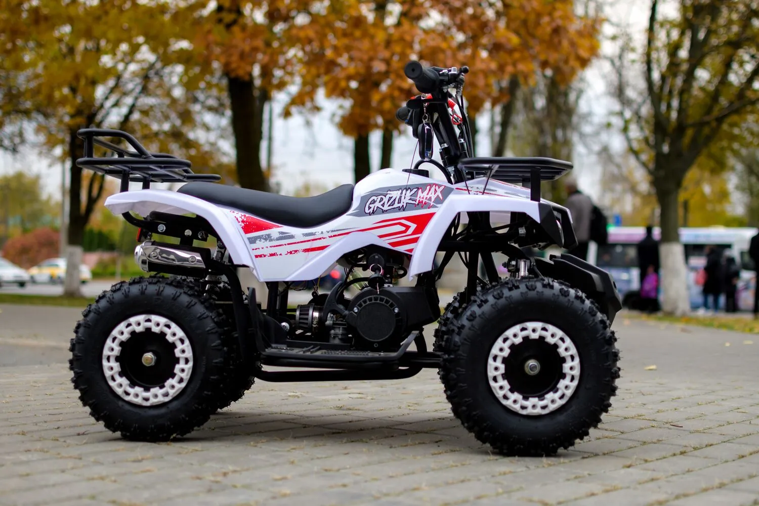 AVM Grizlik 49 МАХ