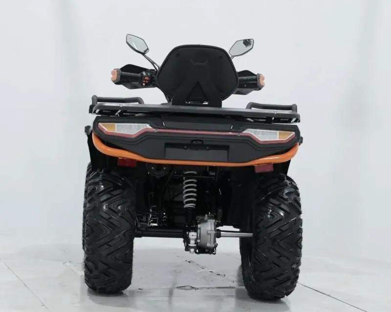  MAX 300 X EFI