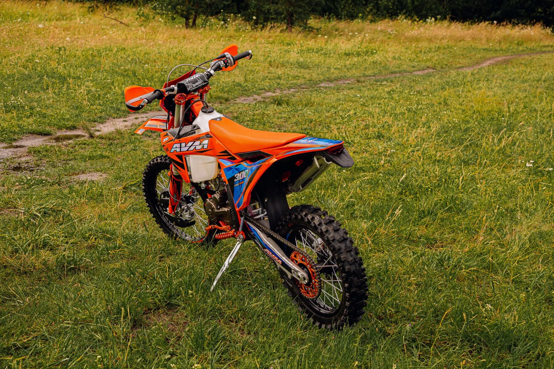  VERGE YBS300