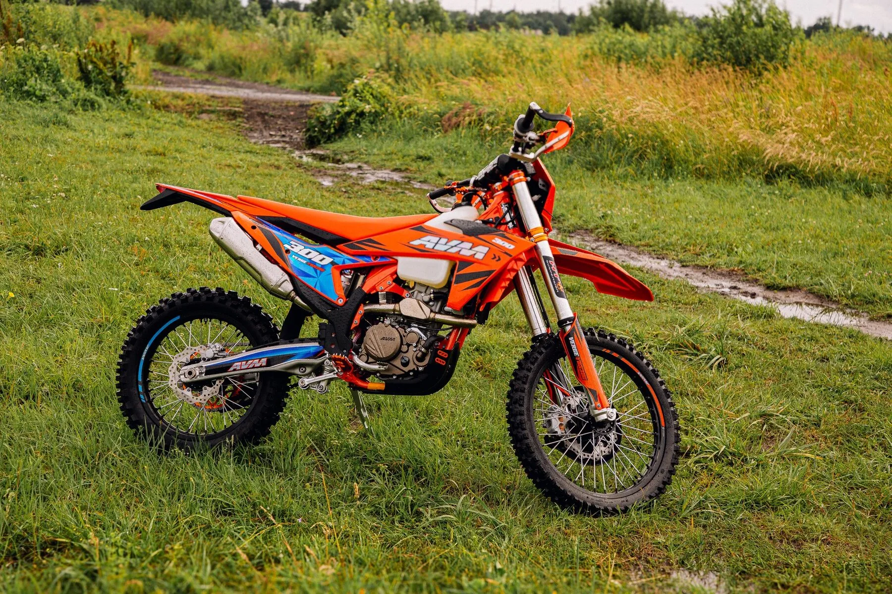  VERGE YBS300