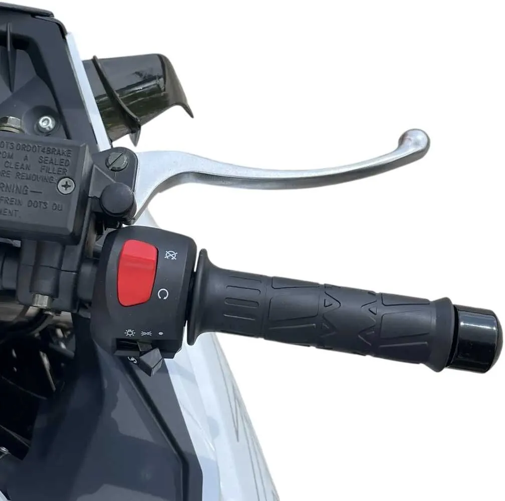  GP 300