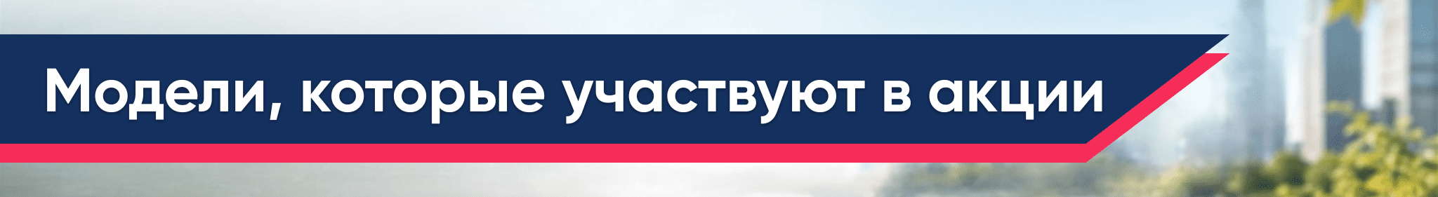 AVM акция скидки августа