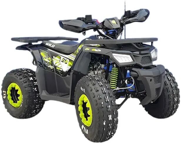 Квадроцикл ATV Motoland Wild 125 atv motoland wild 125.jpg