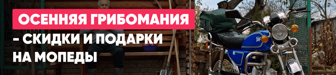 Осенняя грибомания