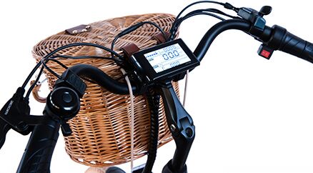 Электровелосипед Elbike MONRO VIP дисплей