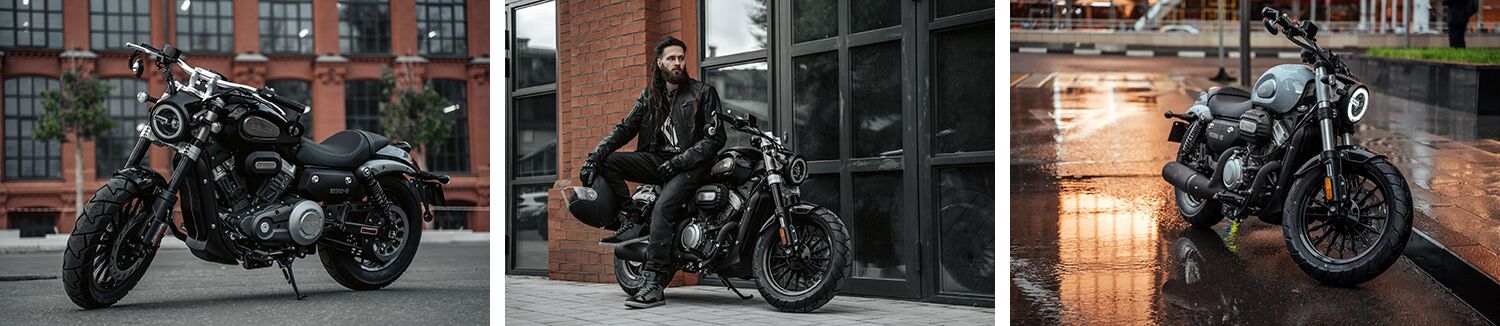 Benda Chinchilla 300