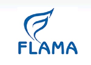 Flama логотип